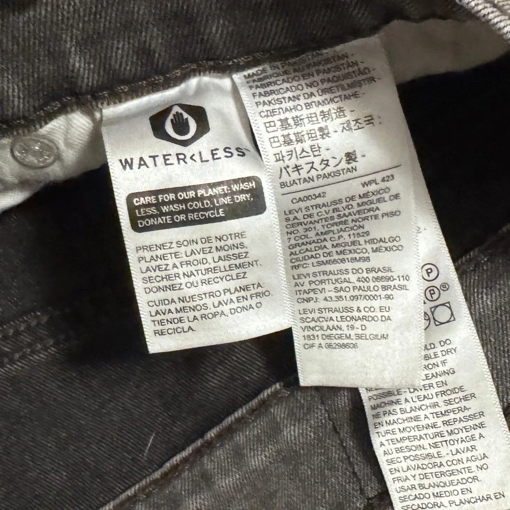 Levis levis 541